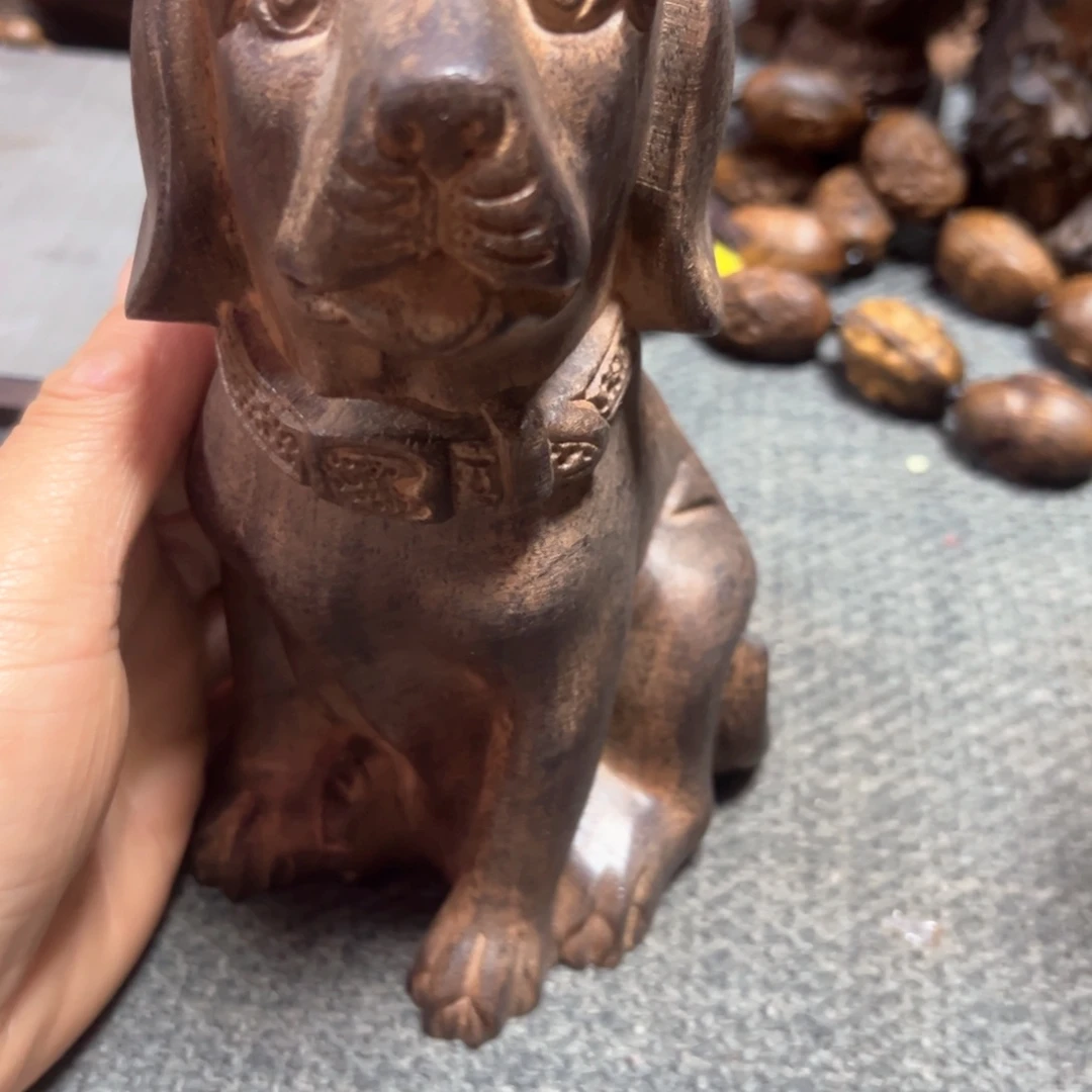 木来欢迎老师们进入直播间