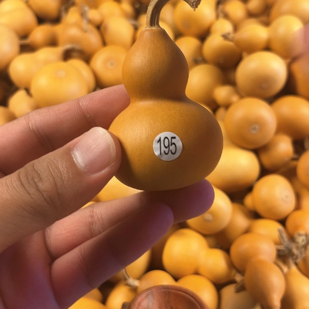 三葫芦葫芦葫芦葫芦195