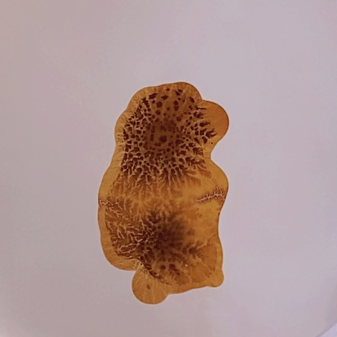 未镶嵌吊坠(不含链)玛瑙/玉髓417