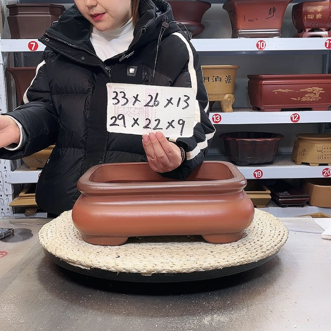 花盆紫砂紫砂花盆里