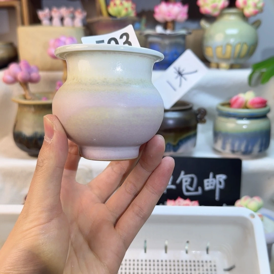 593！ 内口5cm。 非偏远两单包邮