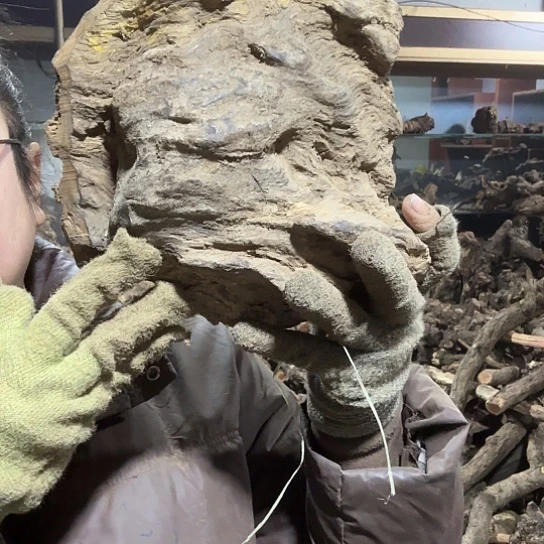 香榧木初***音火琉璃的毛料摆件