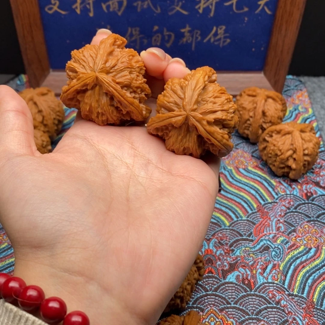 【闪购商品】忧****翔白狮