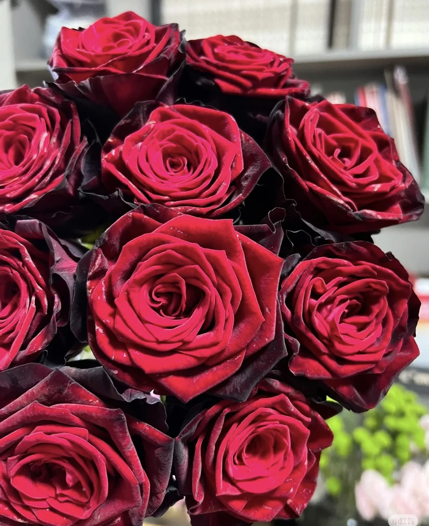 【黑金玫瑰】全场任意两单顺丰冷链包邮，0度以下必拍保温棉！