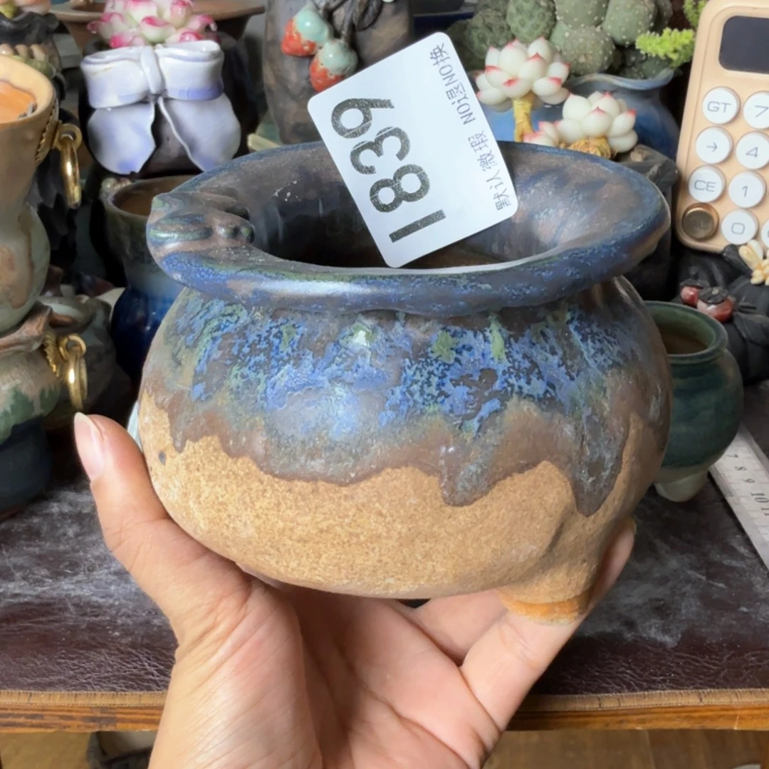 重庆小燕子欢迎大家839