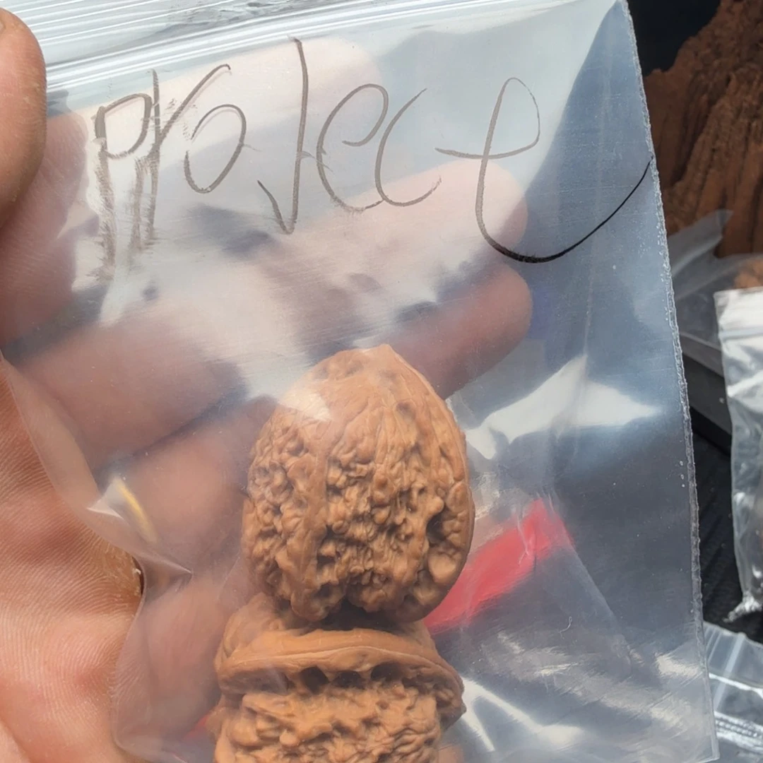 P***X桃核吊坠全品蚂蚁沟福利哈哈哈