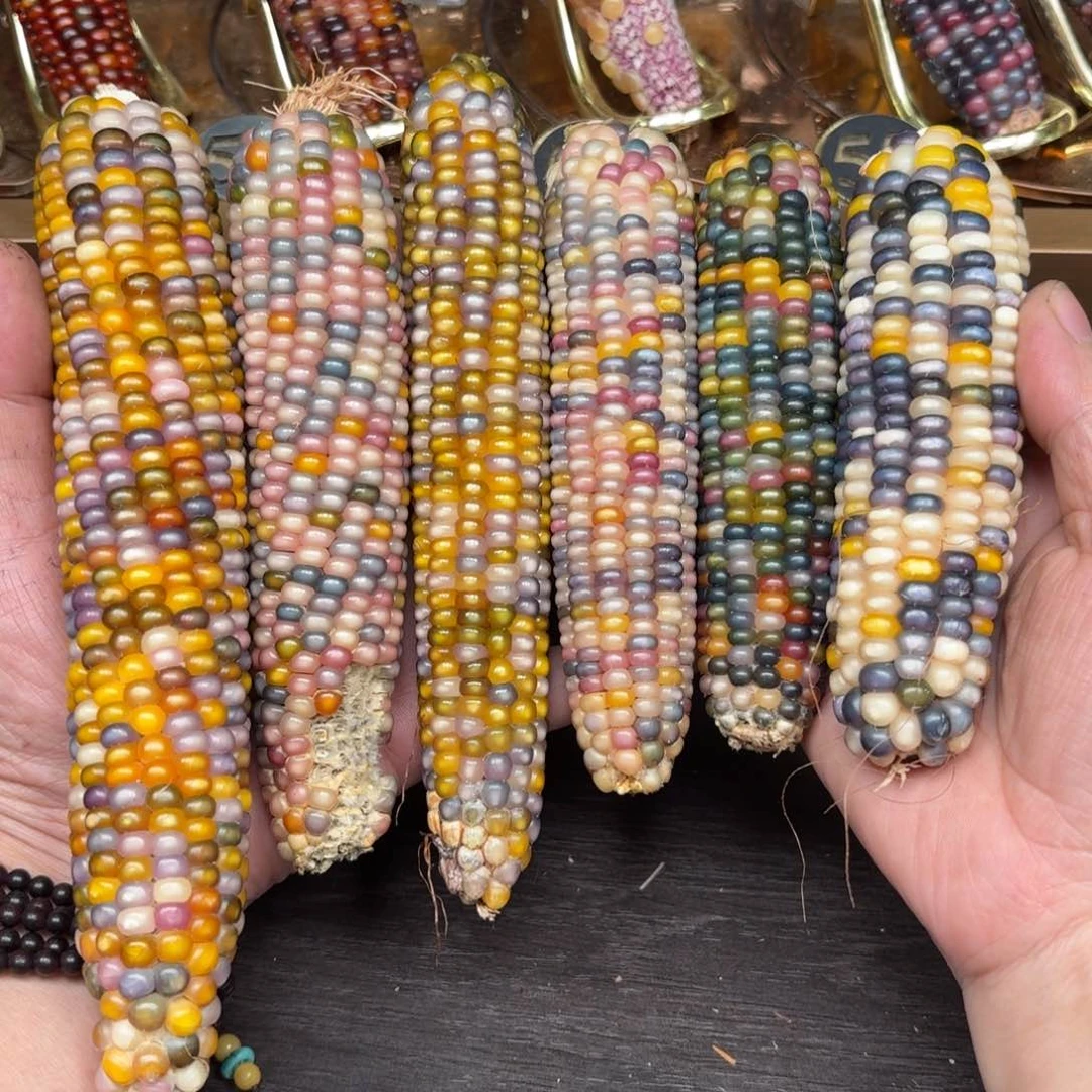 柏香籽/百香籽吊坠盐***王