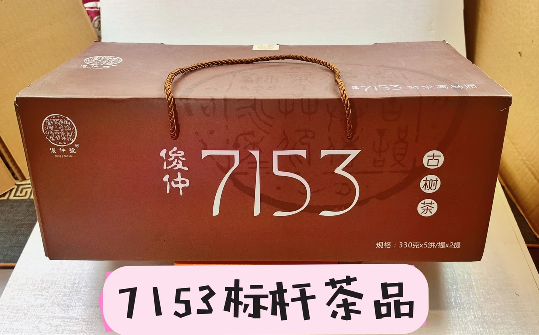 代拍：2024年 7153俊仲19周年999克普洱生茶