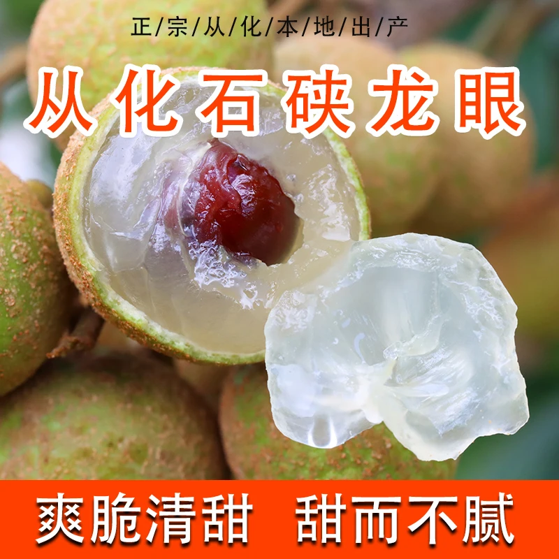 【顺丰冷链】石硖龙眼广州从化新鲜现摘现发清甜多汁肉厚YX-01