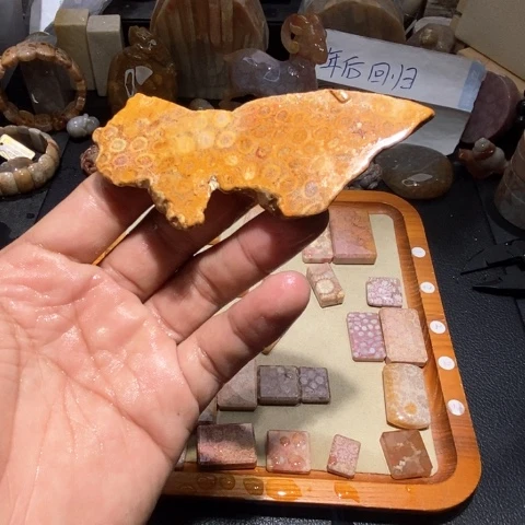 【闪购商品】硅化玉颈饰未镶嵌