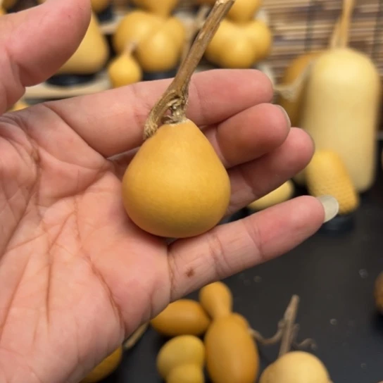 不**尘4589698888888888