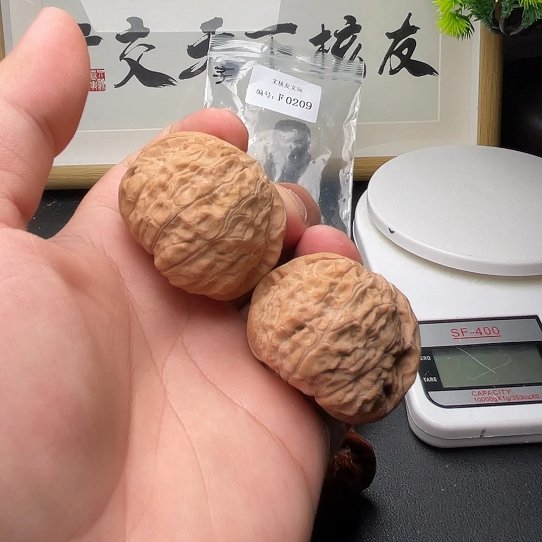 核桃F209南瓜墩44尺全品