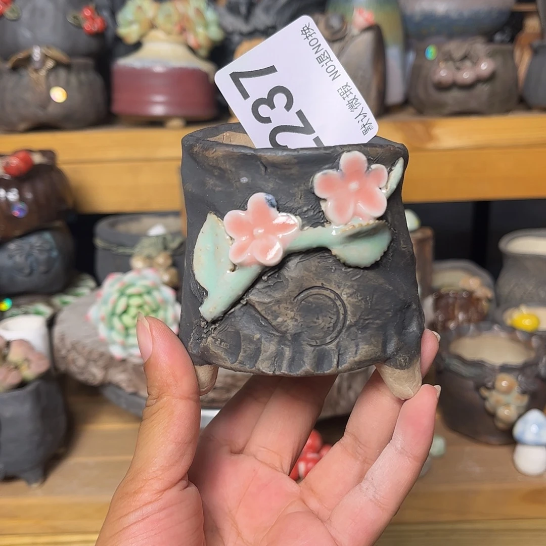 你们怎么看呢……好237