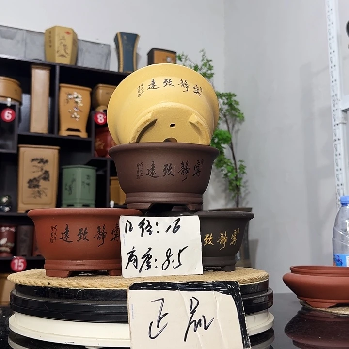紫砂花盆盆友记紫砂花盆
