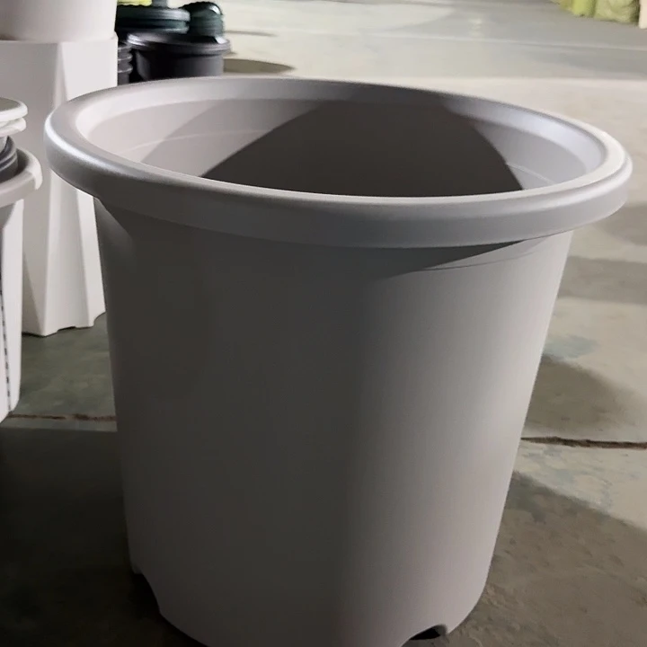 四季12号灰白无托2个