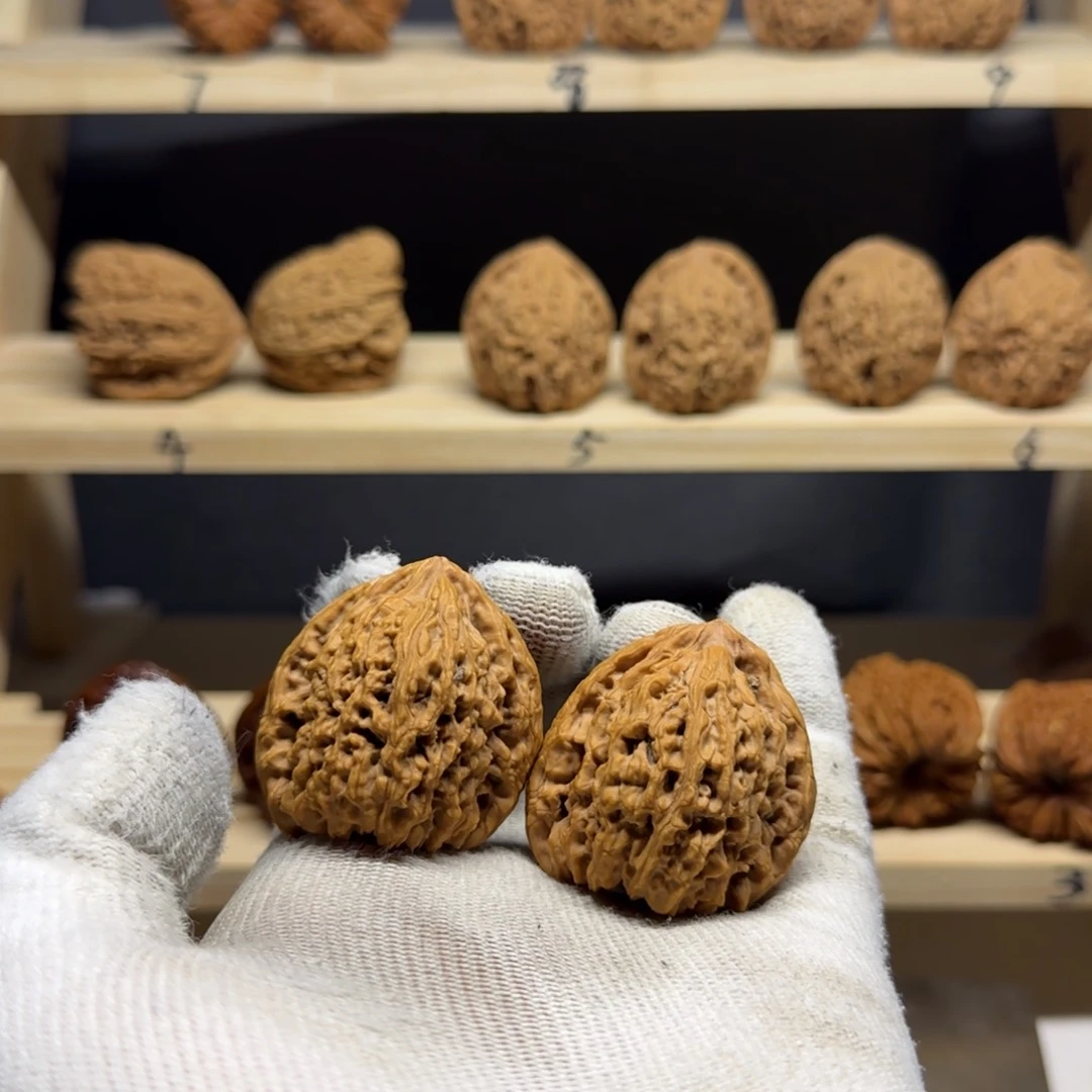 【闪购商品】蜀*山天残39