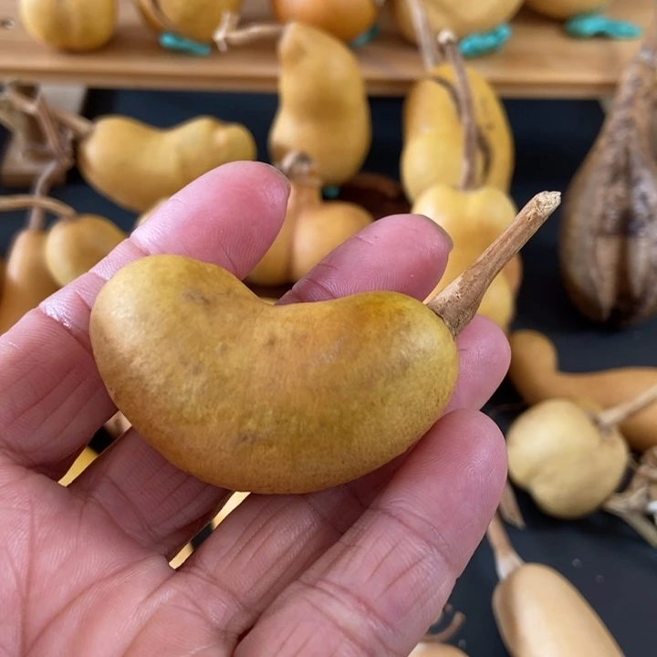 没**?sxbdkwslxndnekdds