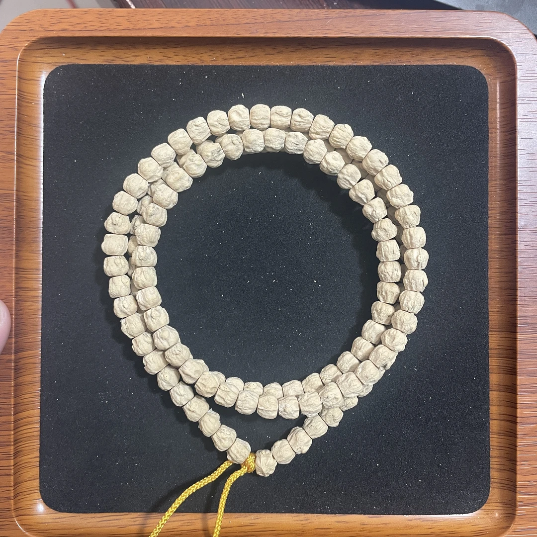 热振百香籽藏切飞机耳