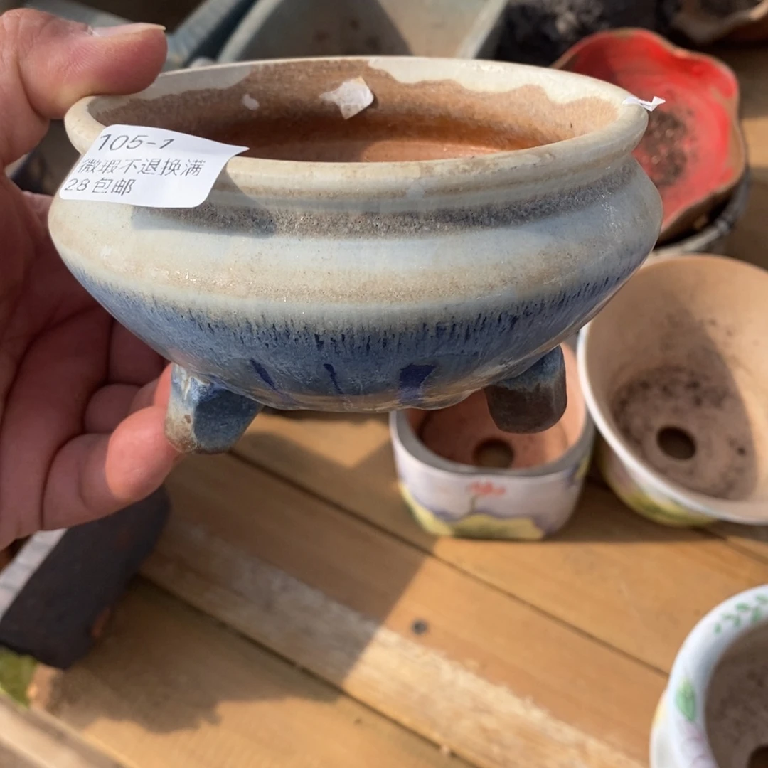 1号花盆内10.5高7.5