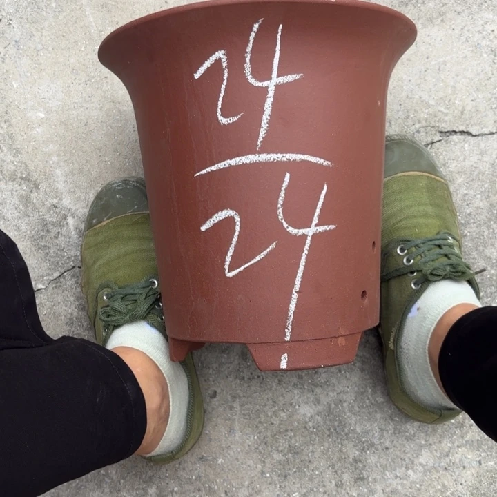 紫砂花盆紫砂的花