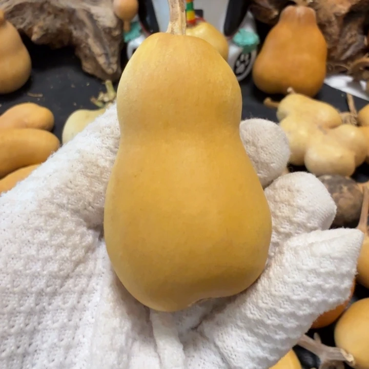 1***道6666666667777888899