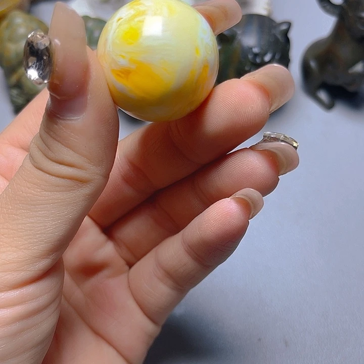 大果紫檀（缅甸花梨）