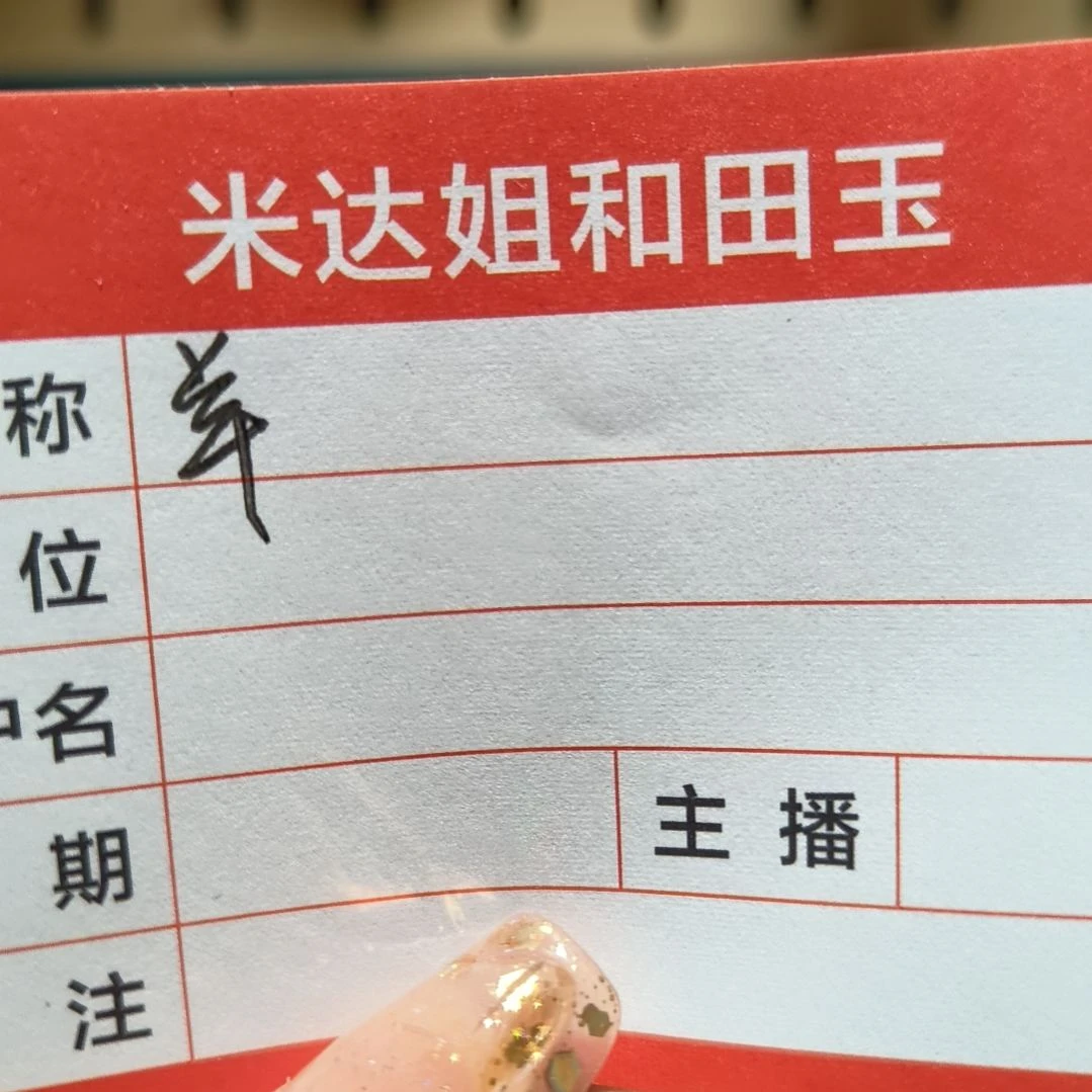 和田玉颈饰未镶嵌羊****王