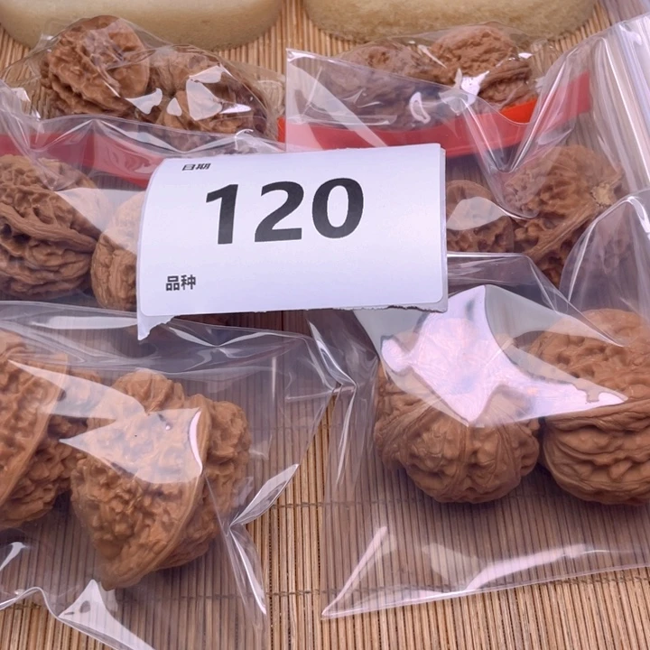 文玩核桃把件120号6对带练手元宝