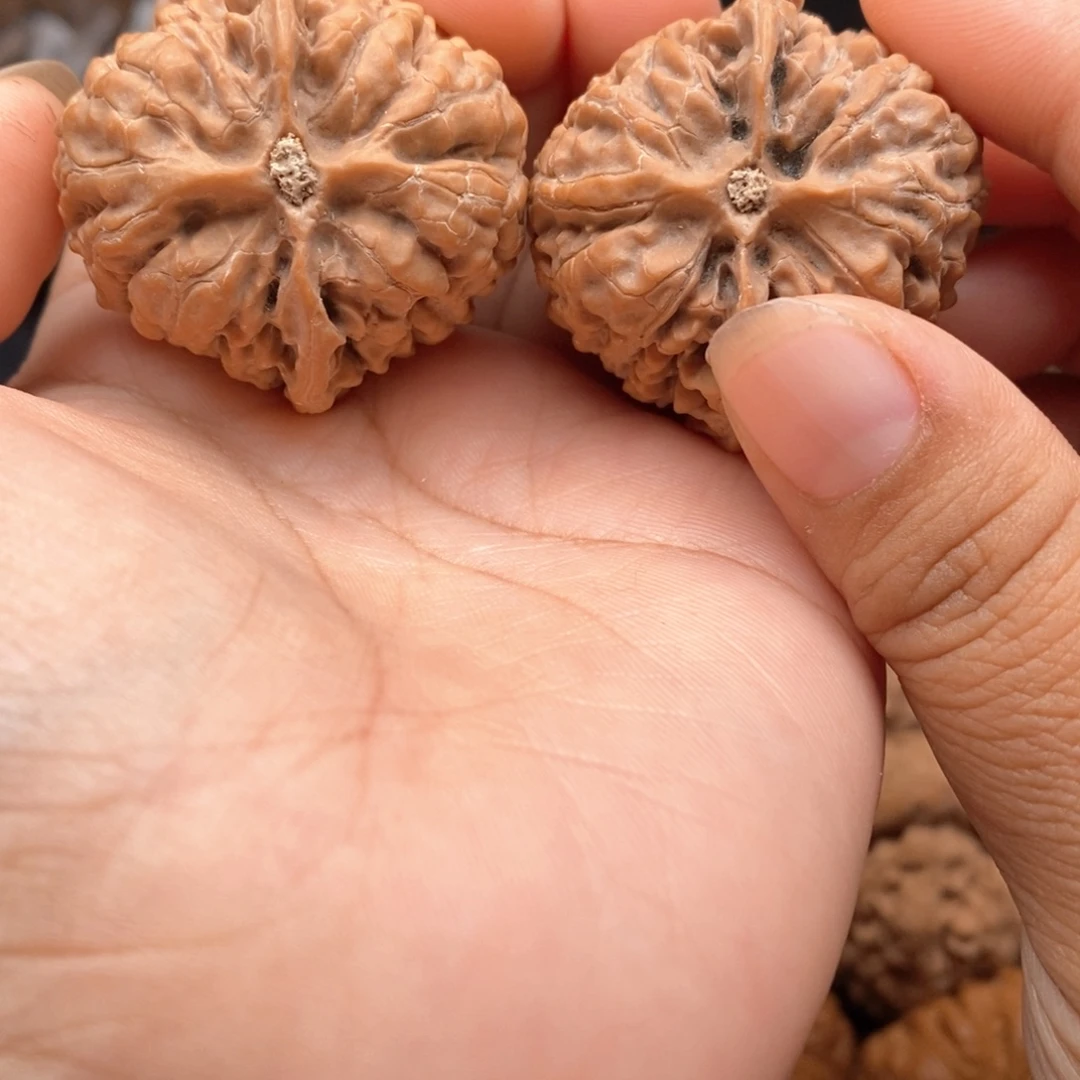 N***e把件文玩核桃111111111