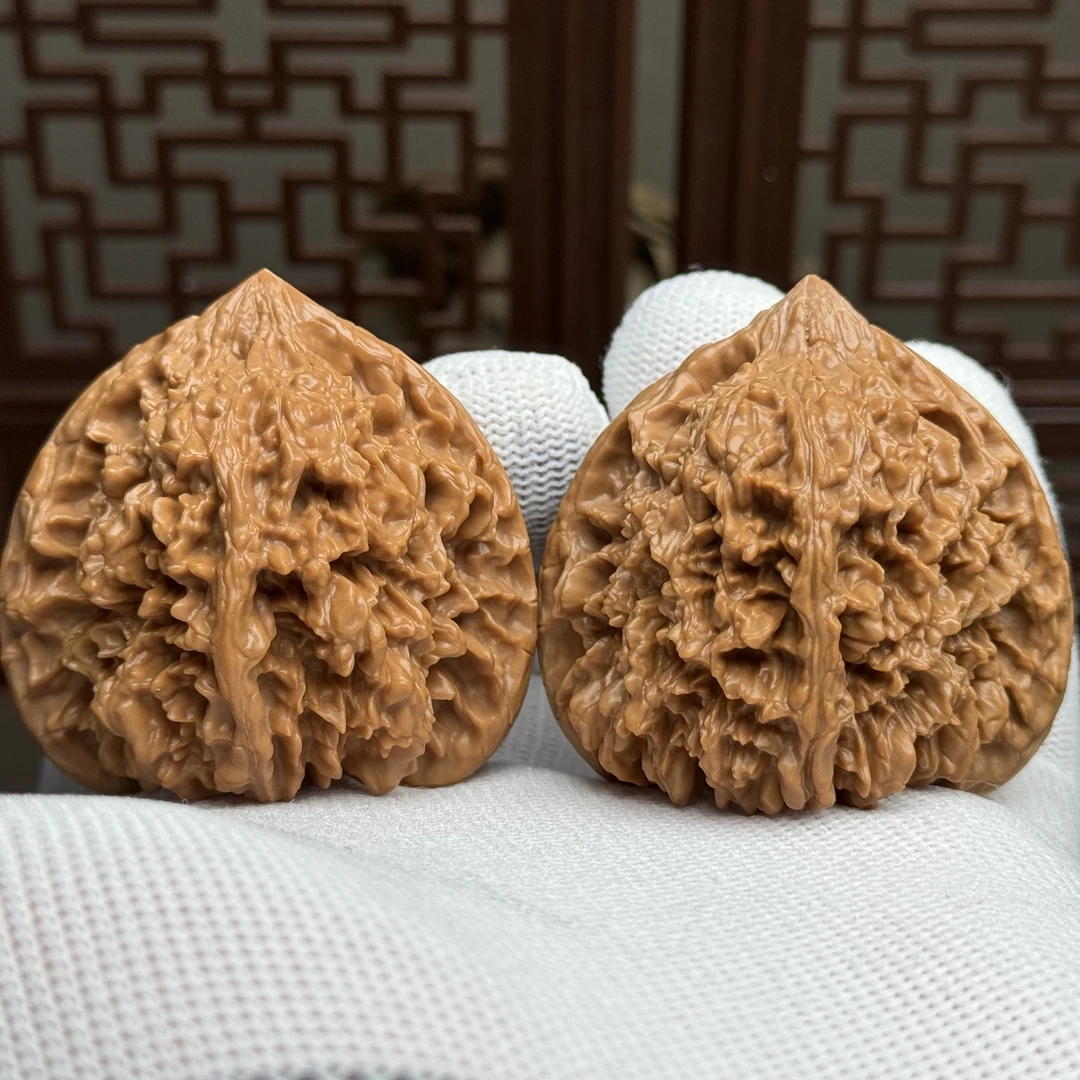 精选满天星狮子头，边45肚41高44，一代老树满天星桃心桩形一物一图