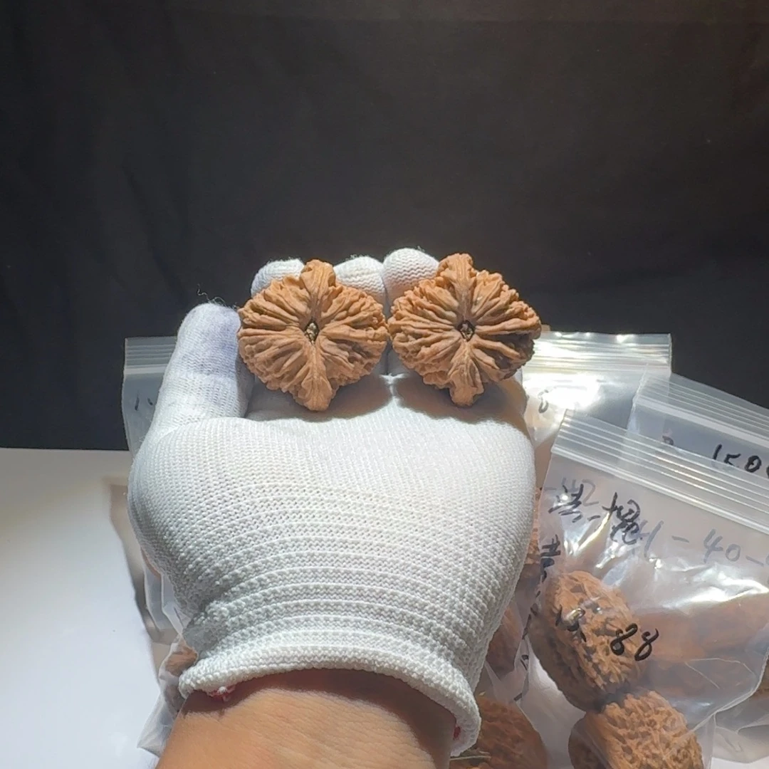 把件文玩核桃14号链接41黄金甲