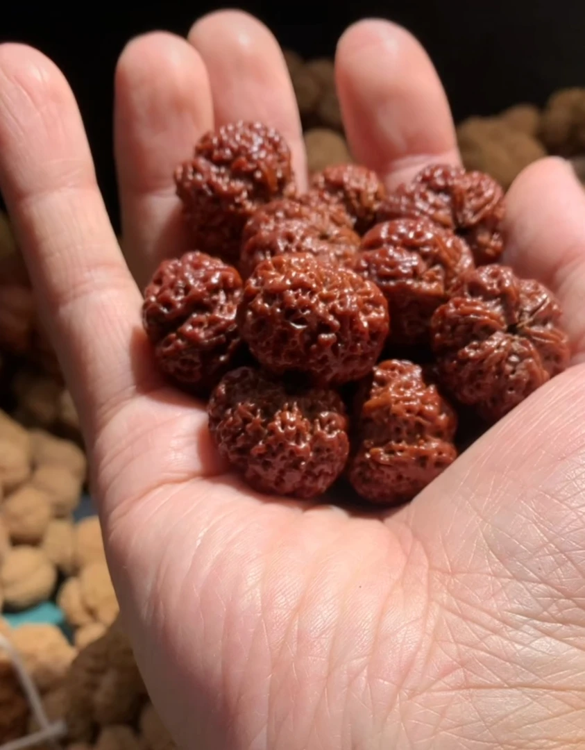 『雪花扇面』尼泊尔大金刚菩提高端扇面