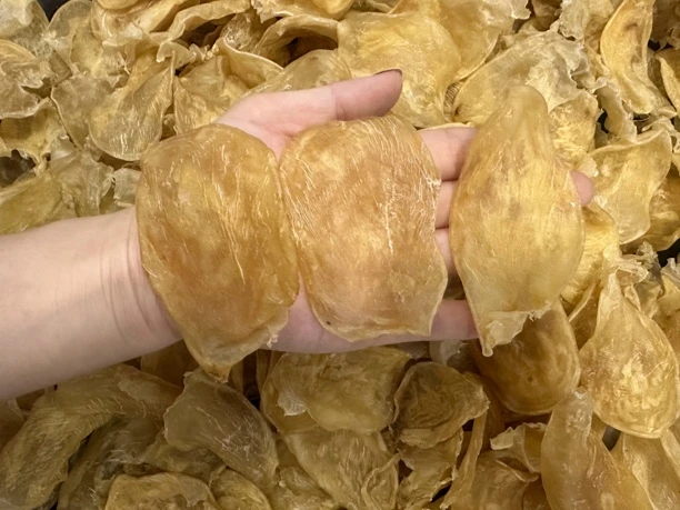 厚肉80头鸡蛋胶 滋补胶原蛋白 低腥味