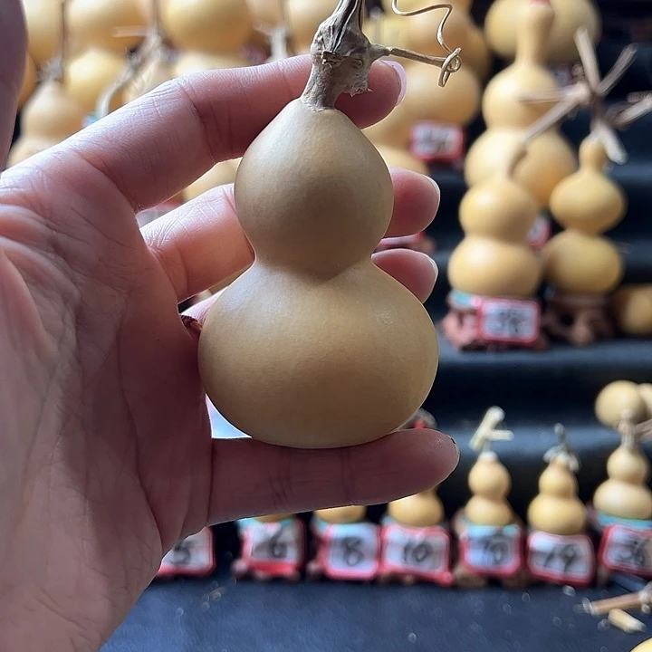 踏**杆天然葫芦葫芦葫芦葫芦葫芦