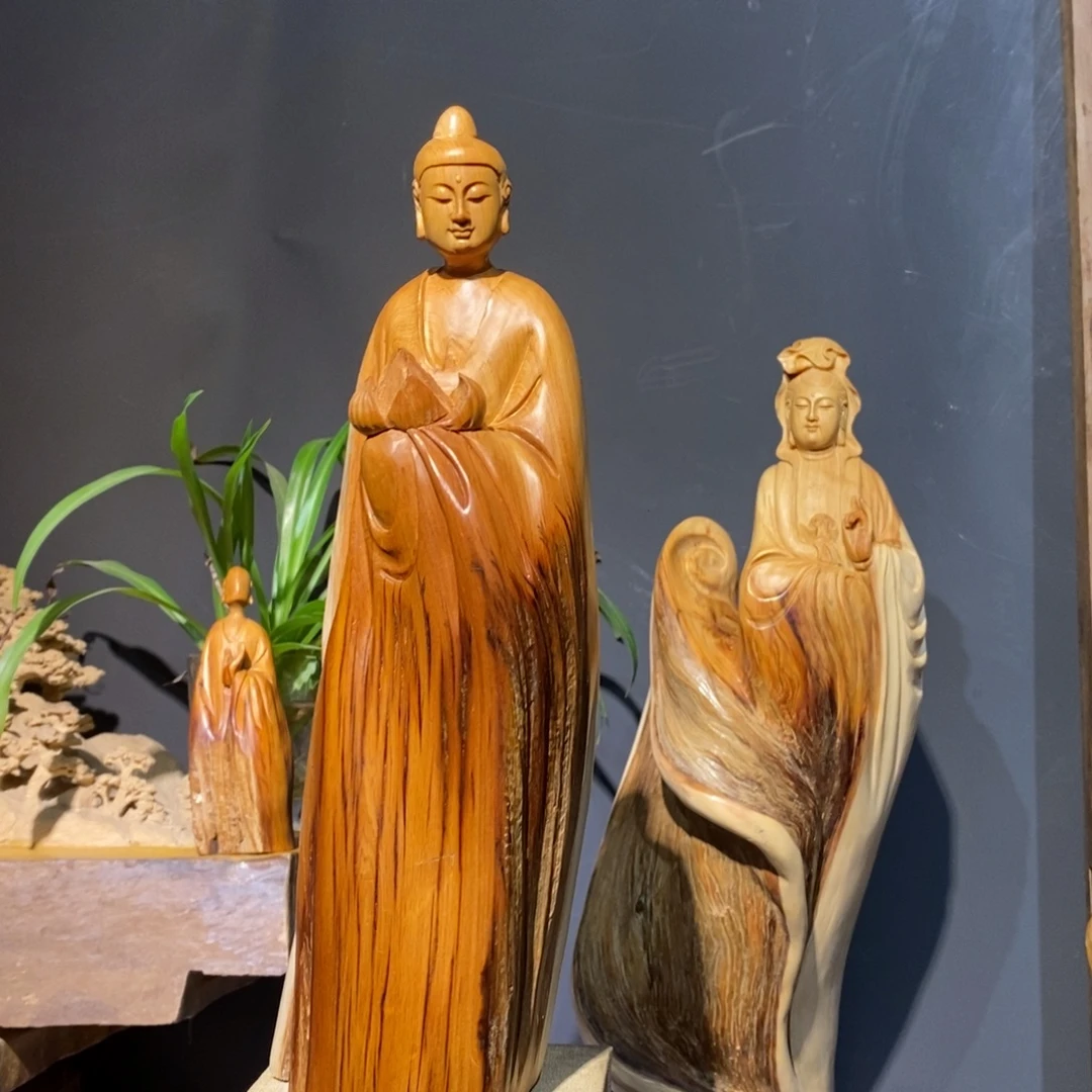 柏木（崖柏）太行13855699