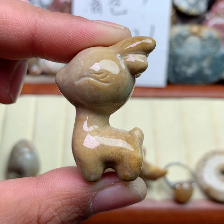 硅化珊瑚（珊瑚玉）颈饰未镶嵌