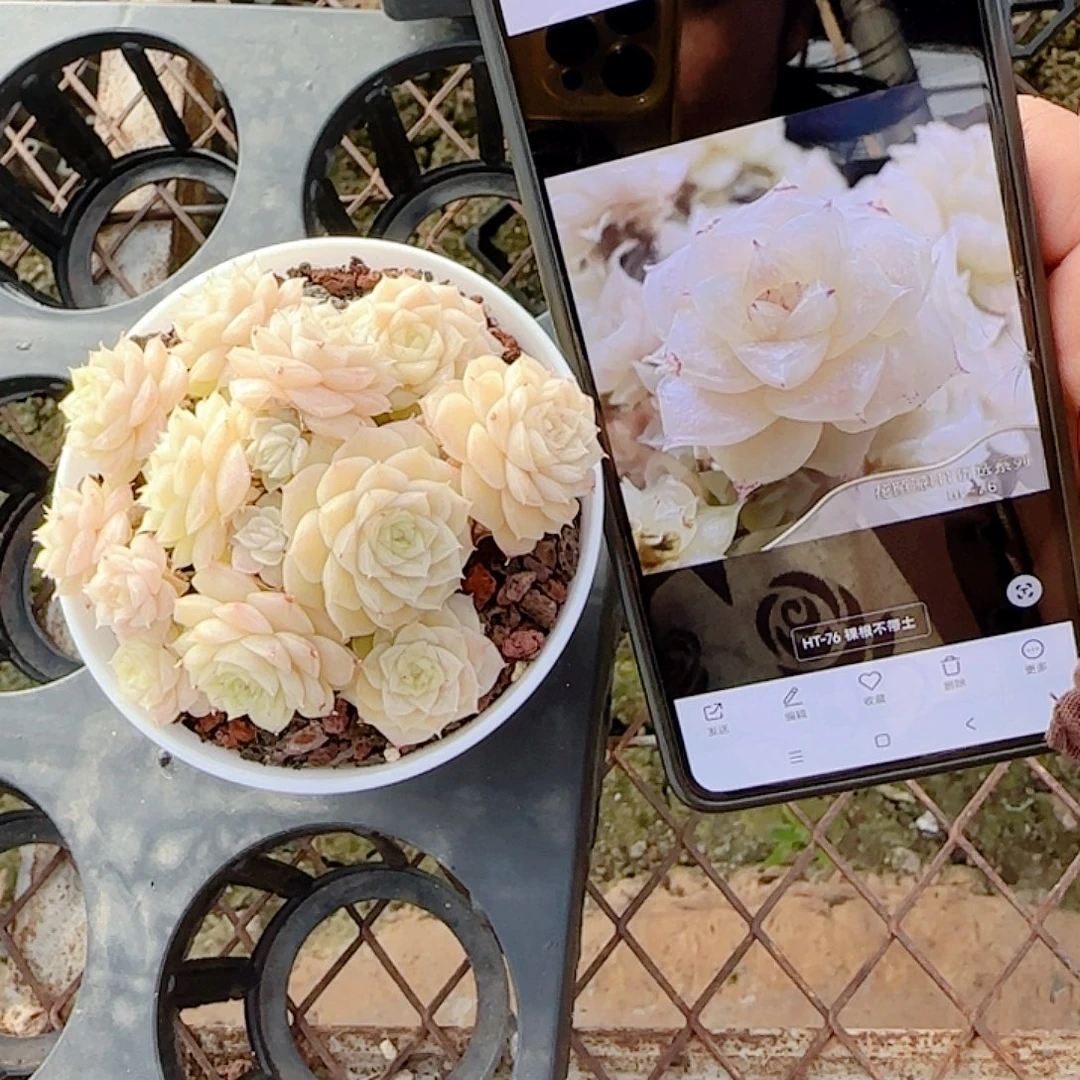 喵***）0104-131（ht-76）优选