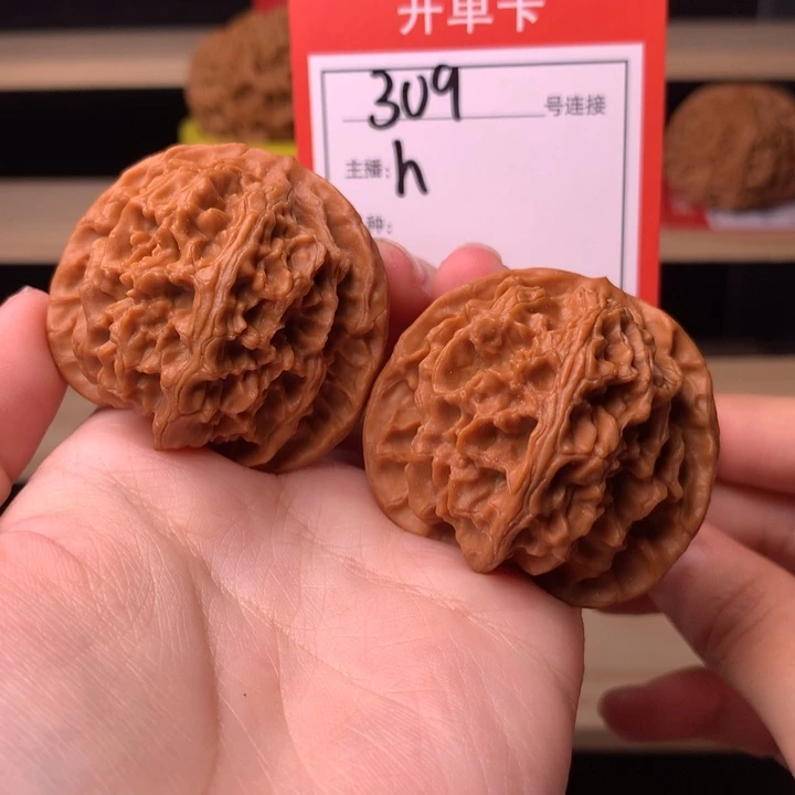 核桃41+苹果园309号