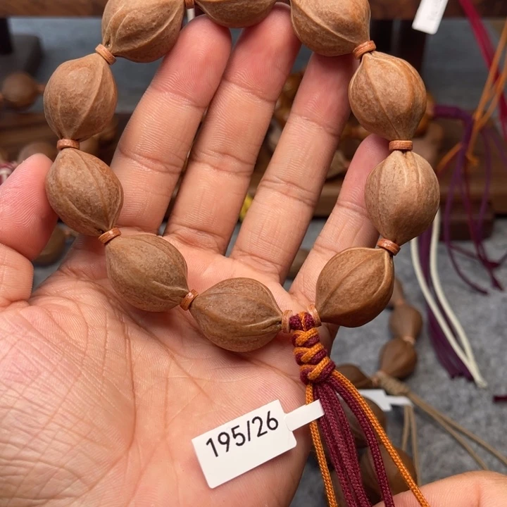 橄榄核手串/手链195/26鲨鱼背