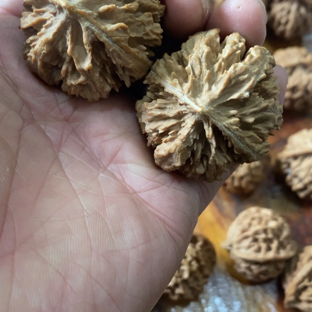 一**草秦岭南侧和东北的