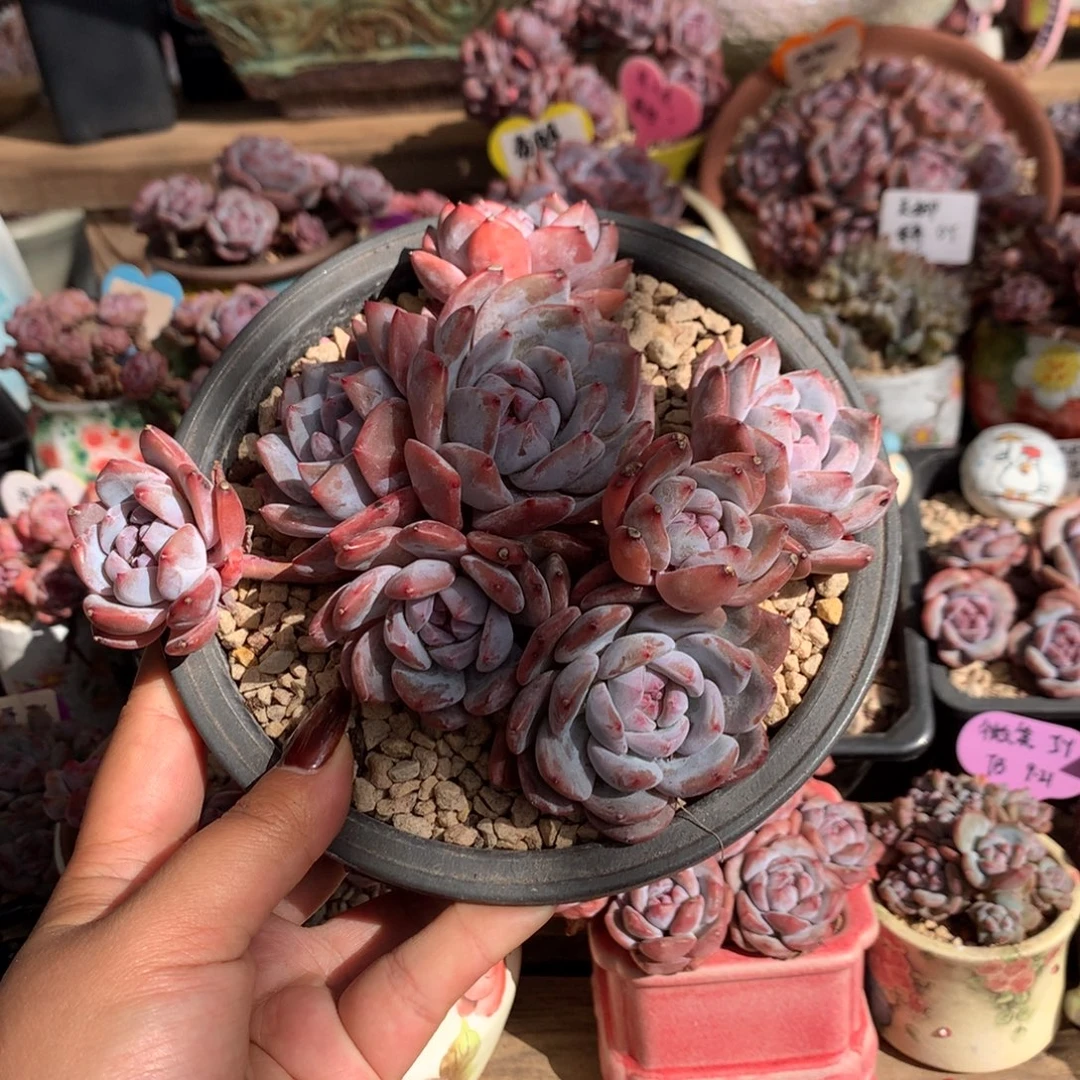 哈哈哈哈哈哈哈10