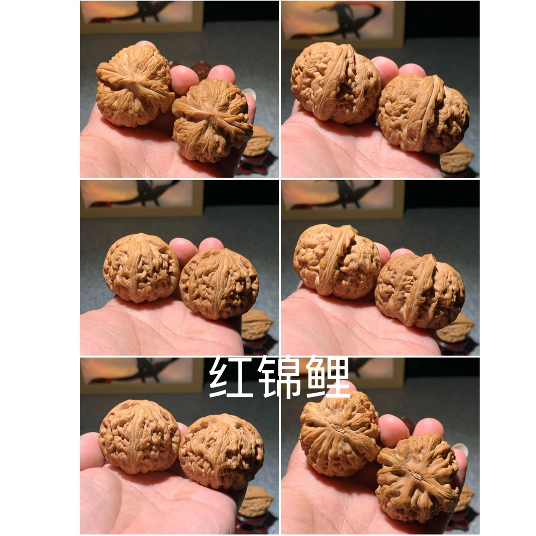 红锦鲤,全品无修,一刀不动,尺寸47*45*39