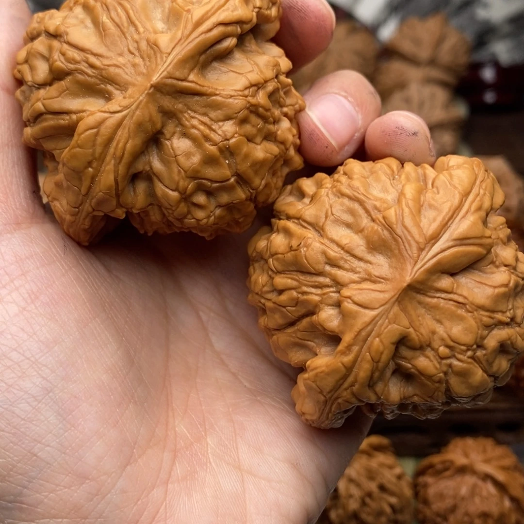 文玩核桃把件431号56全品龙鼎