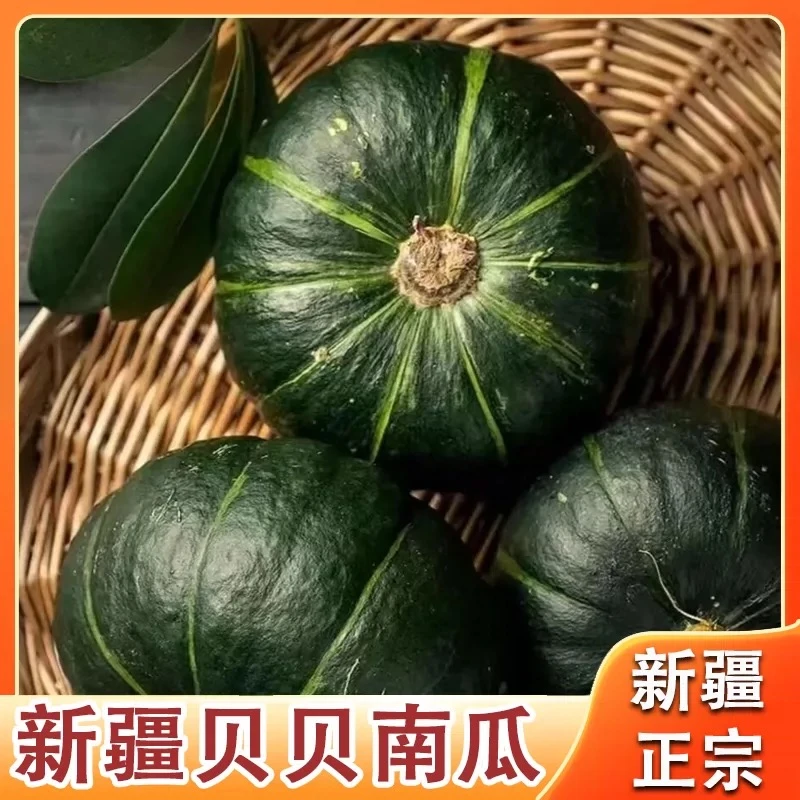 新疆正宗板栗味贝贝南瓜小南瓜粉糯香甜宝宝辅食新鲜孕妇儿童南瓜