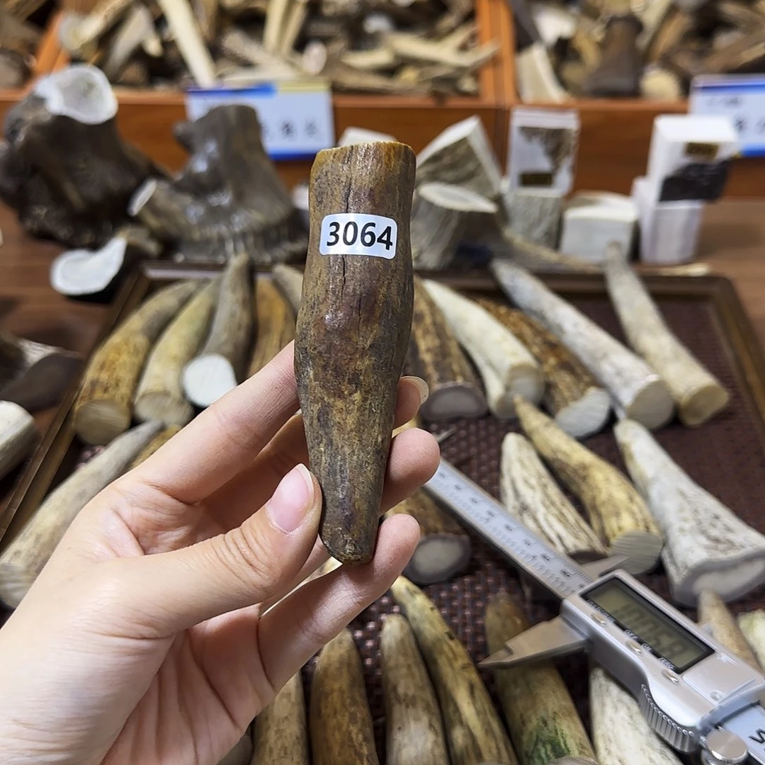 鹿骨手串/手链3064角尖