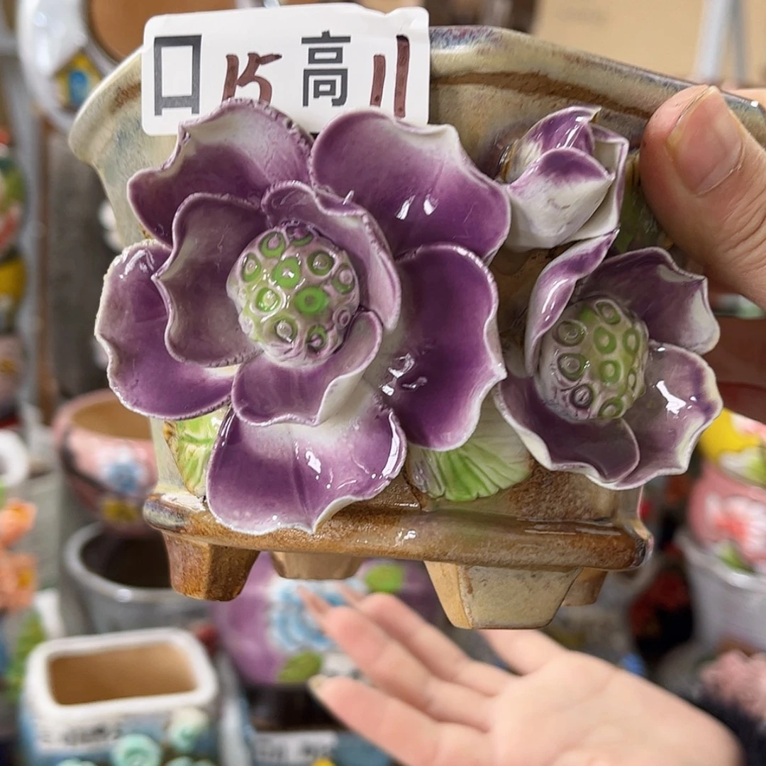 【闪购商品】红陶福利