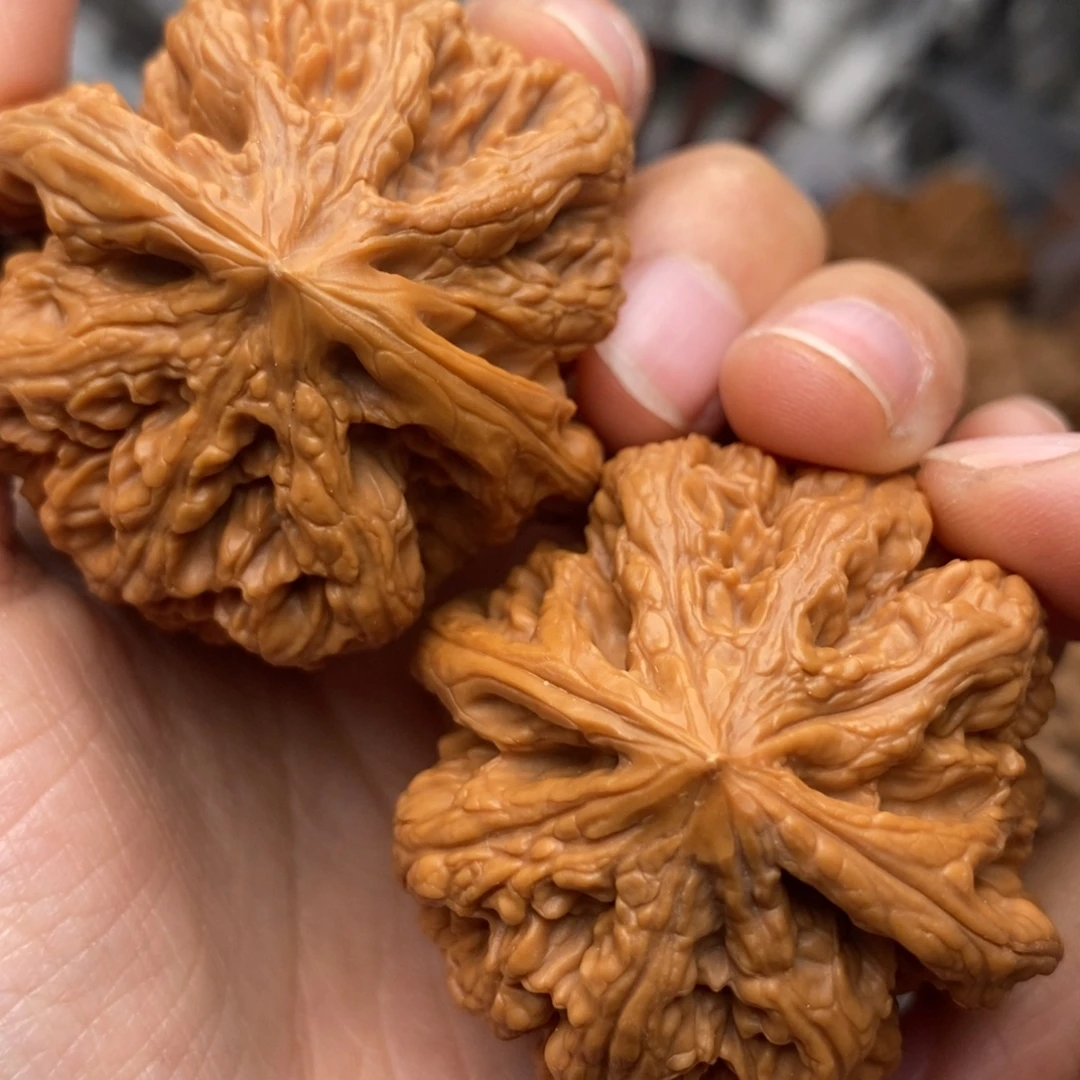 文玩核桃把件704号45粗筋