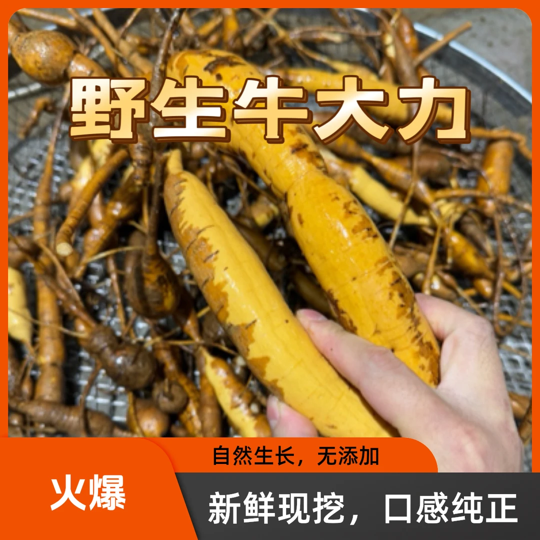野生小叶甘草牛大力薯500g
