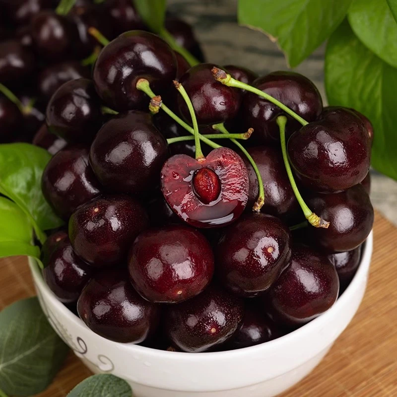 【乐鲜果园】智利桑提娜黑车J-4J海运车厘子樱桃5斤装 内附果径卡