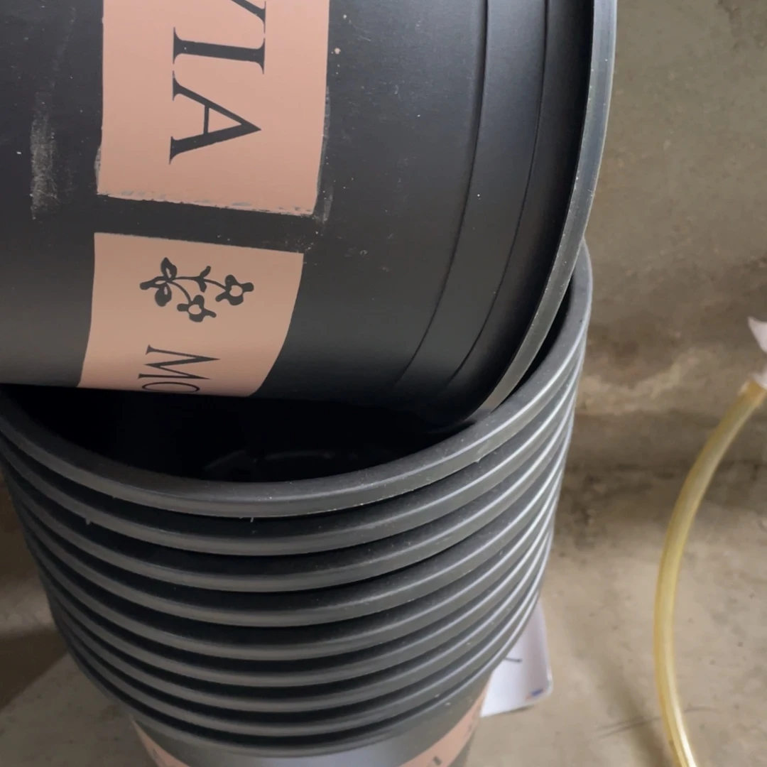 编号是30号的30号的